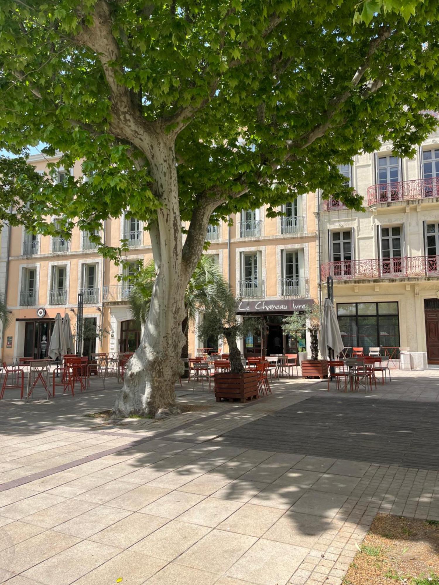 Joli Appartement Hypercentre T2, Classe Meuble De Tourisme 3 Avec Parking Gratuit Béziers Exteriör bild